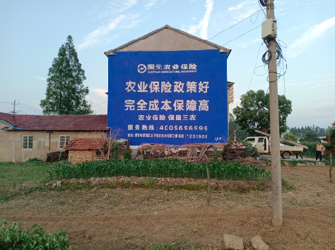 宁强墙体广告的优劣势你知道吗?