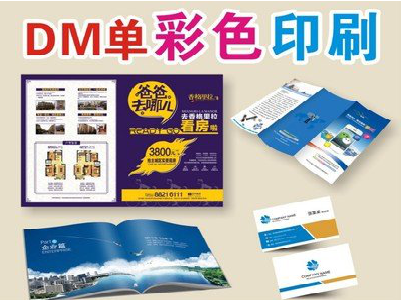  宁强单页印刷，色彩搭配简单。